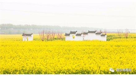 封丘：鄉(xiāng)趣花海野餐季，不負春風不負卿！